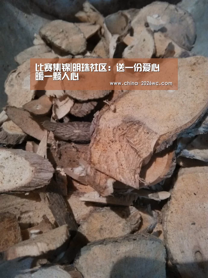 比赛集锦|明珠社区:送一份爱心 暖一颗人心(图3) 淘汰赛