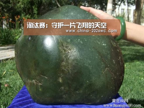 淘汰赛:守护一片飞翔的天空(图1) 比赛集锦