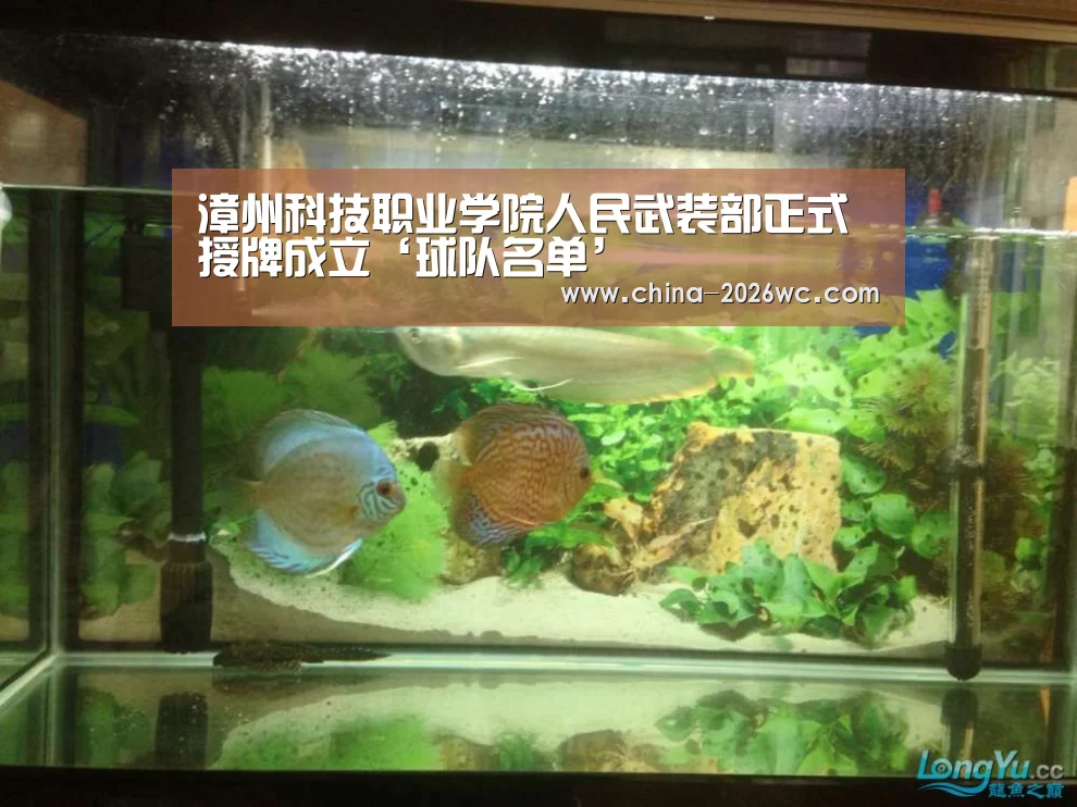 漳州科技职业学院人民武装部正式授牌成立‘球队名单’(图2) 淘汰赛