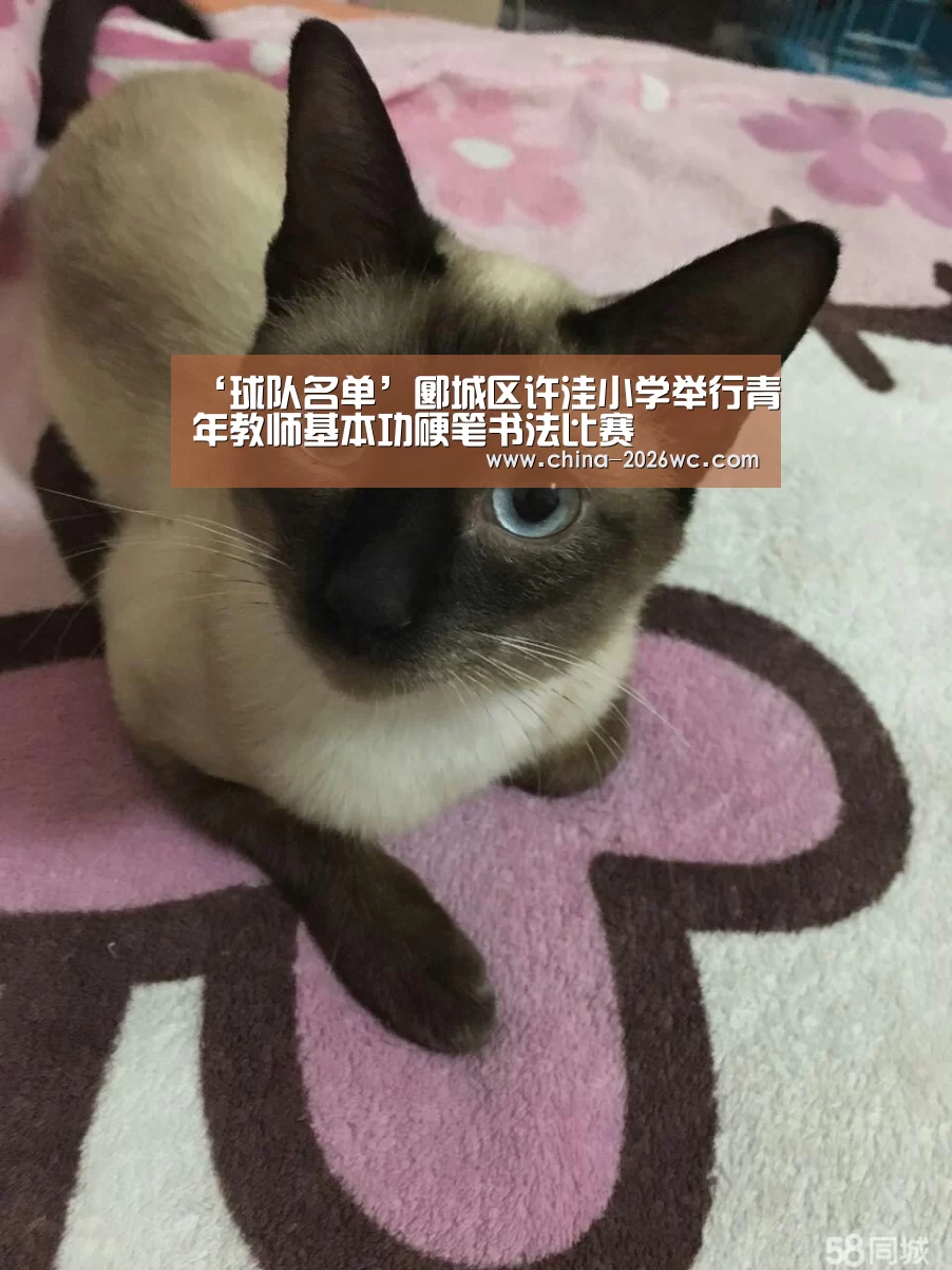 ‘球队名单’郾城区许洼小学举行青年教师基本功硬笔书法比赛(图1) 球队名单