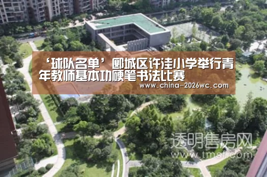 ‘球队名单’郾城区许洼小学举行青年教师基本功硬笔书法比赛(图3) 比赛集锦
