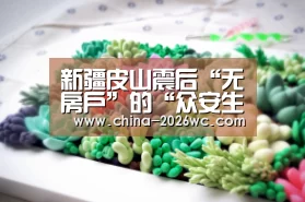 新疆皮山震后“无房户”的“众安生活”‘球队名单’(图1) 淘汰赛