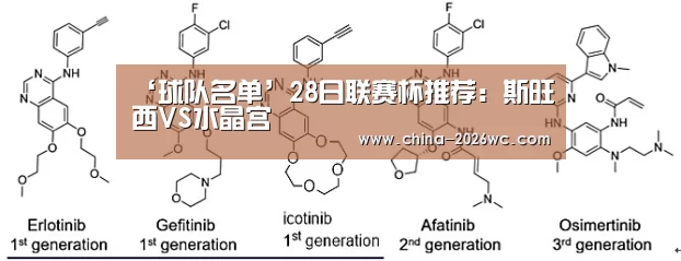 ‘球队名单’28日联赛杯推荐:斯旺西VS水晶宫(图2) 比赛集锦